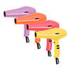 AC Motor 1875w Salon Anion Hair Professional Blow Dryer