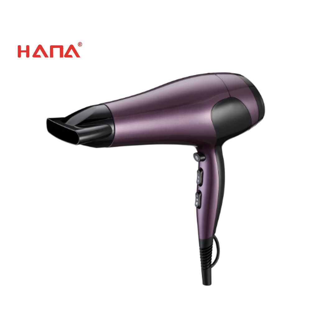  HANA 2020 newest design hot selling professional household hair dryer