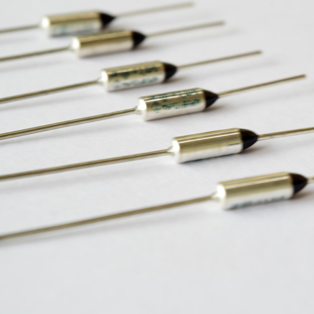  Thermal fuse for a hair dryer