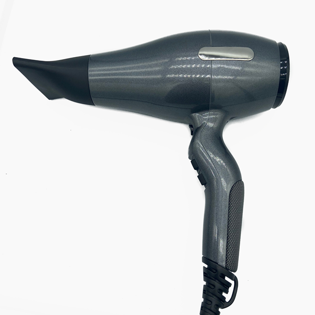 Professional Salon hair dryer 