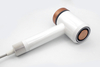 BLDC Brushless High Speed Fast Drying Hair Dryer