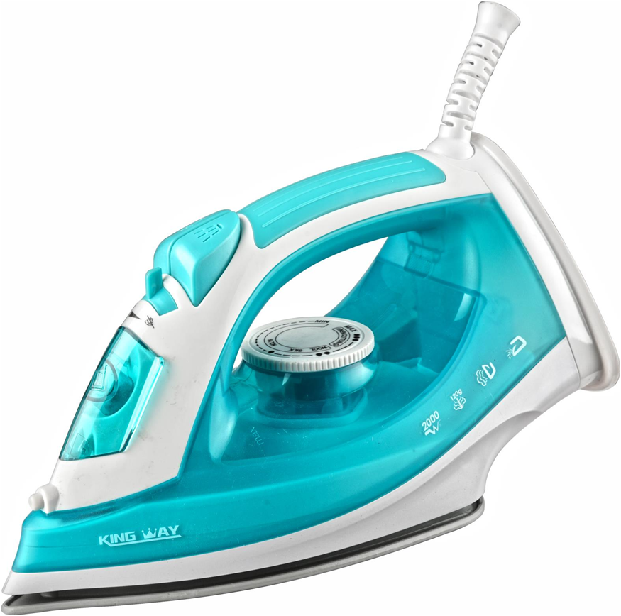  Electric steam iron 