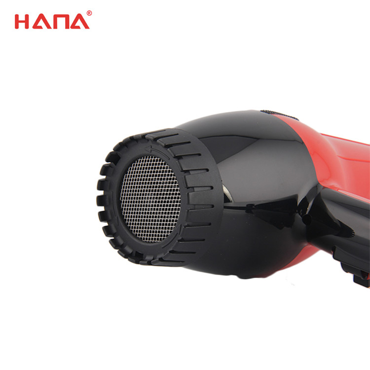 New arrival Professional Household Use function hair dryer
