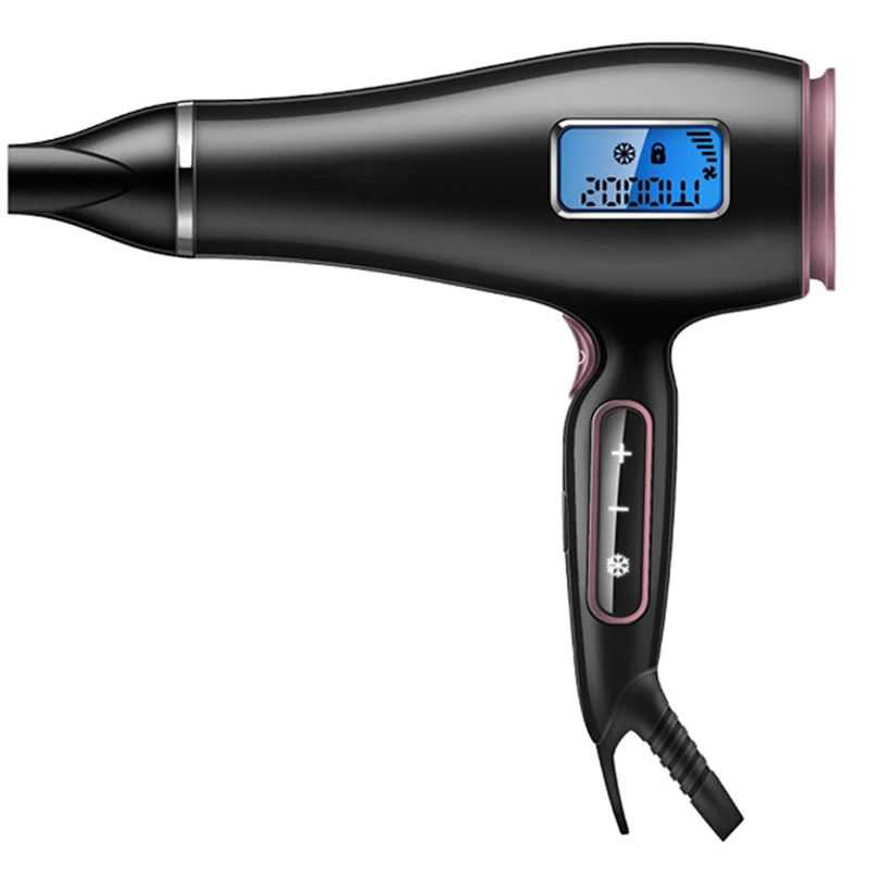 Professional Hair Dryer