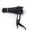 Professional Hair Dryer