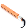 Travel World Wide Voltage Portable Mini Hair Straightener