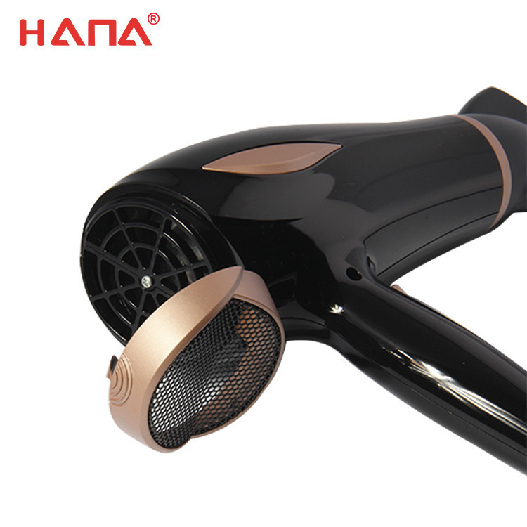 HD-3260 HANA LVD EMC EMF RoHS Reach hair dryer professional