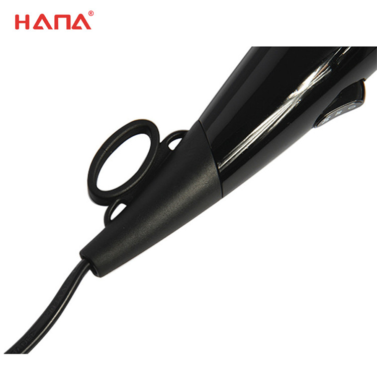 Reach hair dryer professional